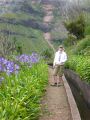 Madeira0893.JPG